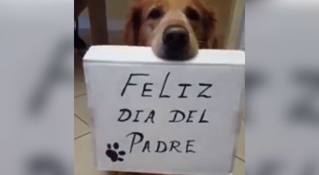 Perrito saluda a su dueño por el Día del Padre y casusa ternura en las redes sociales
