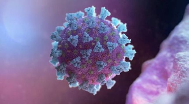 La OMS dice que el mundo llegará a 10 millones de casos de COVID-19 la próxima semana