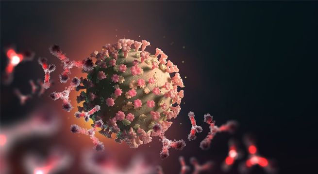 Ya son más de 500 mil los fallecidos en el mundo a causa del coronavirus