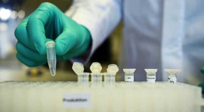 Experto médico de Estados Unidos señala que habrá una vacuna contra el coronavirus a fin de año