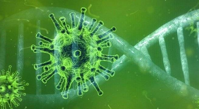 Identifican mutación genética del coronavirus