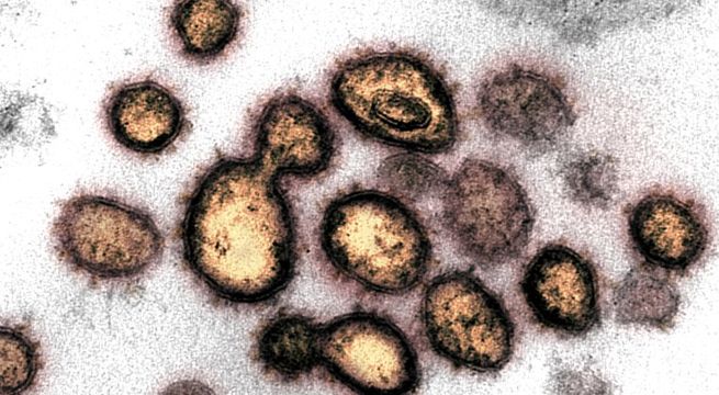 Una nueva cepa del Covid-19 se estaría propagando de manera más rápida