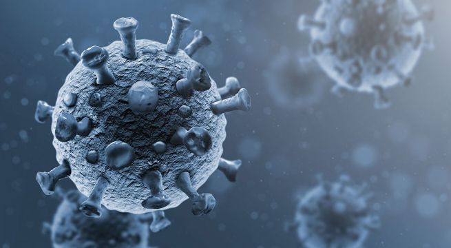 Jefe del programa de emergencias de la OMS dice que erradicación del Covid-19 es poco probable