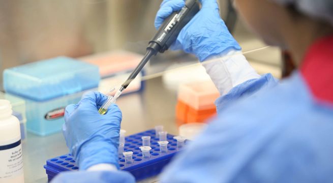 Covid-19: prueba molecular rápida implementada por peruanos entra a etapa de validación