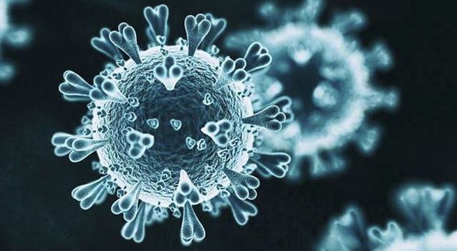 Experto señala que los rebrotes de coronavirus serían recurrentes en el futuro