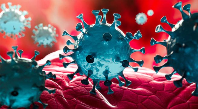 Casos de coronavirus en el mundo superan los 16,25 millones
