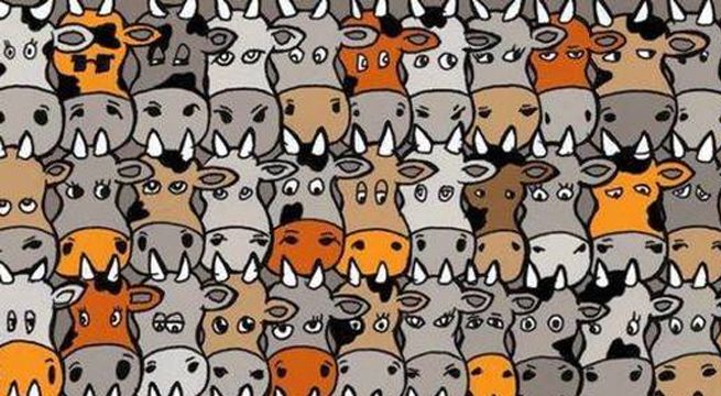 Reto visual: ¿Puedes encontrar al perro entre las vacas en menos de 20 segundos?