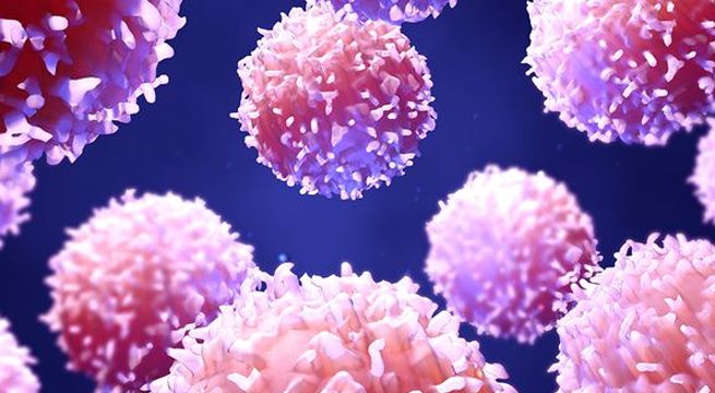 Casos de coronavirus en el mundo superan los 20,73 millones