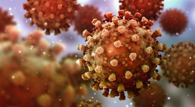 Los casos de coronavirus en el mundo superaron los 25 millones