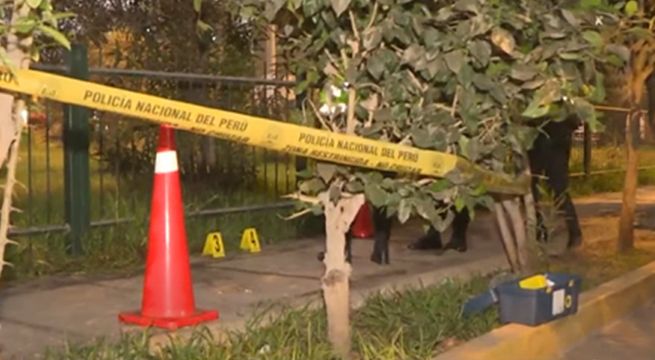 Los Olivos: encuentran dos cráneos en un parque de la urbanización San Roque