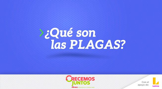 Aprende con Crecemos Juntos: La importancia sobre el manejo integrado de control de plagas