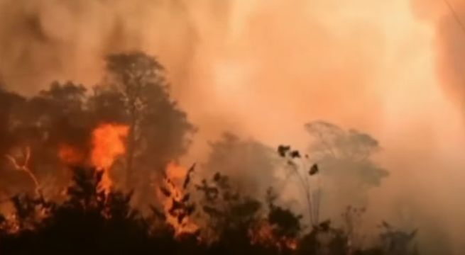Brasil: incendios azotan con fuerza al mayor humedal del planeta [VIDEO]