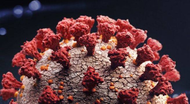 Casos confirmados de coronavirus en el mundo supera los 33 millones