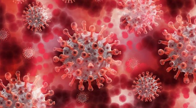 La OMS asegura que una de cada 10 personas habría contraído Covid-19