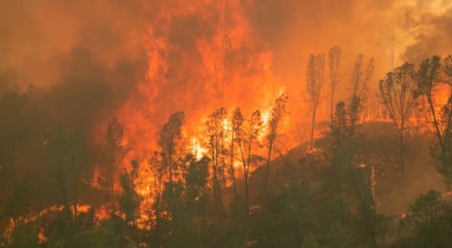 ONU advierte sobre dramático aumento de desastres naturales en últimos 20 años