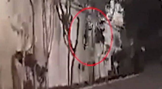 Surco: ladrón de celulares saltó del puente Primavera para evitar ser detenido