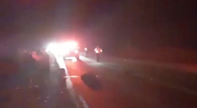 Piura: motociclista murió tras impactar contra un toro en Talara [VIDEO]