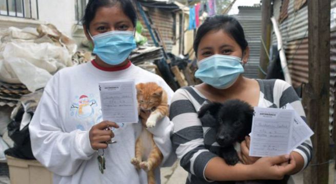 Perrito causa ternura al asistir a campaña de vacunación con mascarilla