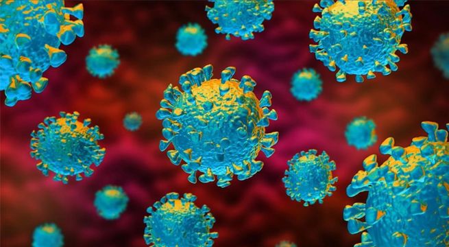 Los casos de coronavirus en el mundo superan los 47 millones