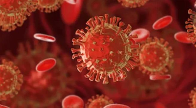 Ya son más de 65 millones los casos confirmados de Covid-19 en el mundo