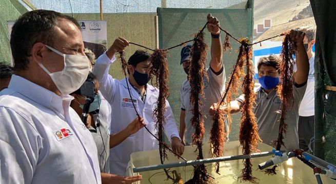 Produce impulsa reactivación de la pesca y acuicultura en Moquegua