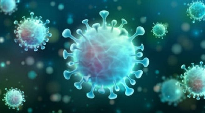 Los casos de Covid-19 en todo el mundo superan los 80 millones