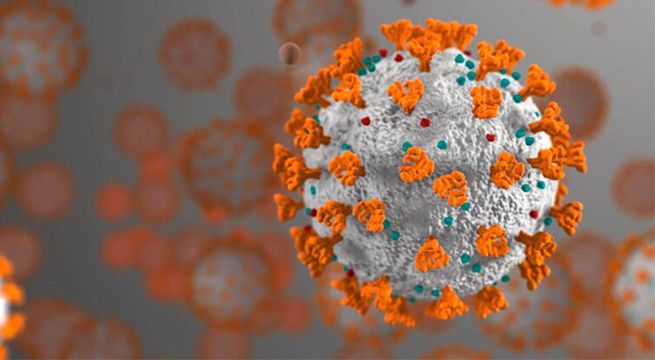 Los casos de coronavirus en todo el mundo superan los 85 millones