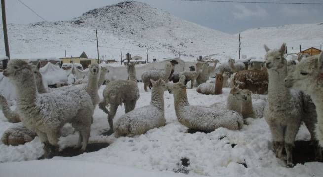 Anuncian lluvia, nieve y granizo para 16 regiones del país a partir de este miércoles