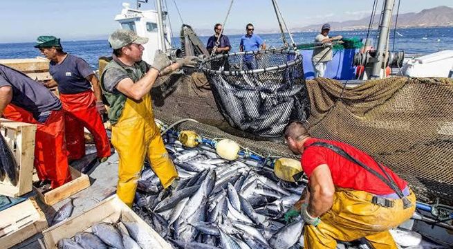 Produce establece límite de pesca de jurel y caballa en 65,410 y 68,081 toneladas