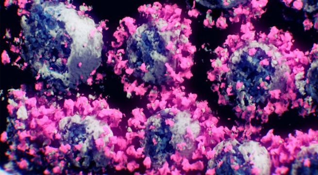 Los casos de coronavirus en todo el mundo están cerca de alcanzar los 100 millones