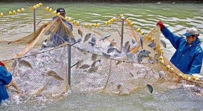 ¿Qué actividades se van a permitir durante la cuarentena total?
