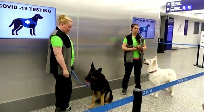 Perros alemanes detectan Covid-19 con una precisión del 94%