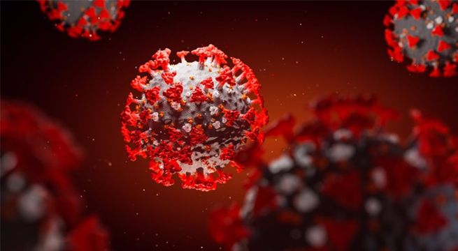 Ya son más de 114 millones los casos de coronavirus en todo el mundo