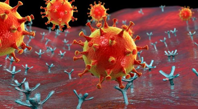 Los casos de Covid-19 en todo el mundo superan los 120 millones