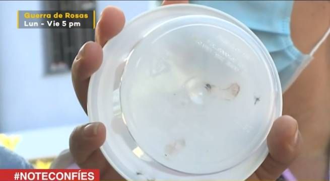 Alerta por brote de dengue en Unidad Vecinal de Mirones