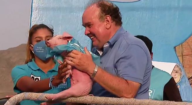 Rafael López Aliaga recibió un cerdo durante una caravana por Lima Norte