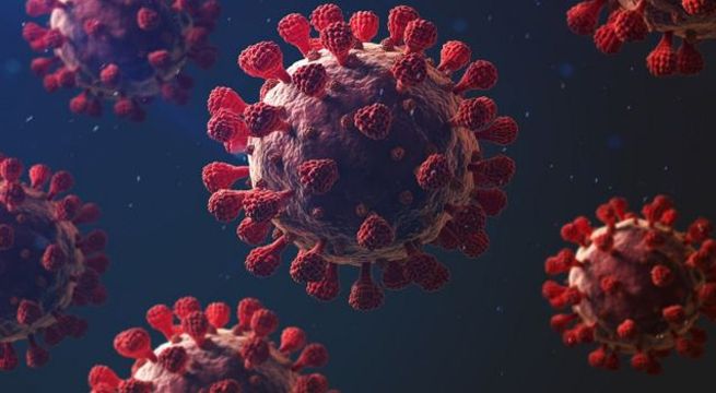 Los casos de Covid-19 en el mundo están cerca de alcanzar los 153 millones