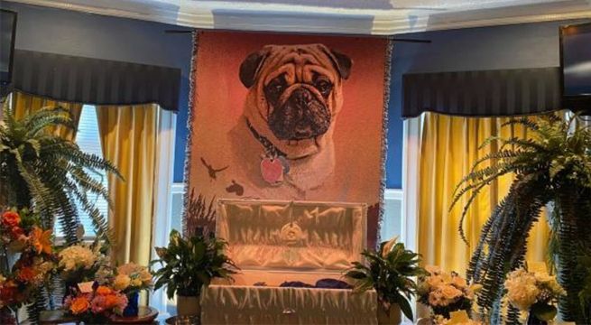 Hombre se hace viral tras organizar un extravagante funeral para su perrito