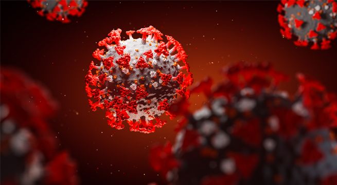 Casos positivos de Covid-19 superan los 165 millones