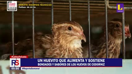 Reporte Semanal - 23 de mayo