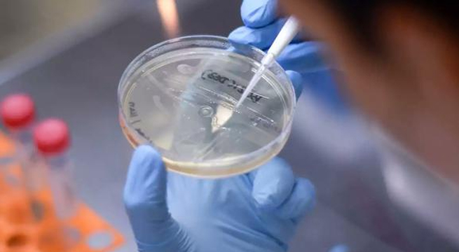 OMS: La variante Delta del Covid-19 se está volviendo la dominante en el mundo