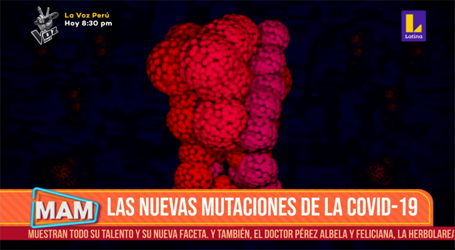 Las nuevas mutaciones del Covid-19