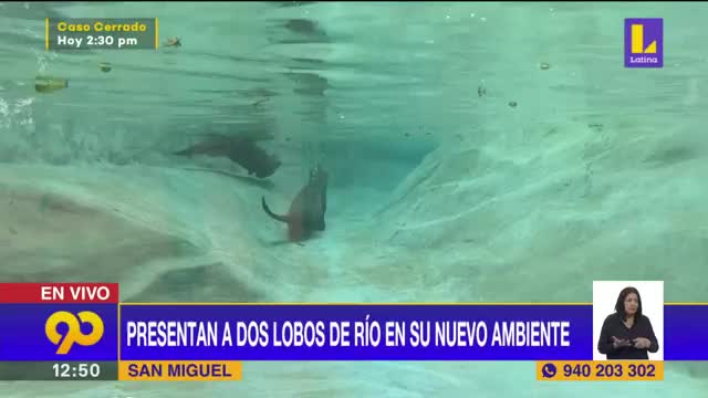 90 Mediodía: miercoles 12 de mayo