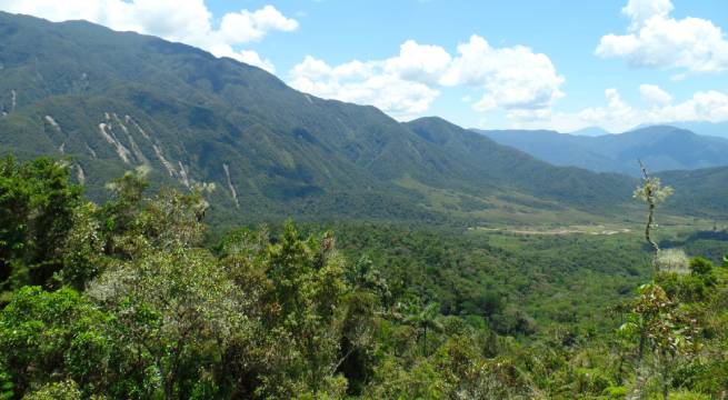 Alertan sobre afectación del Área de Conservación Regional Chontabamba - Huancabamba