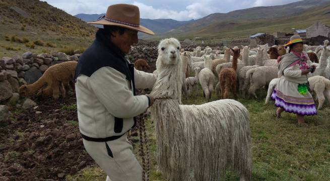 Pueblos indígenas y amazónicos retratan su legado ancestral a través de muestra fotográfica