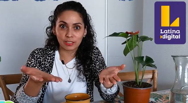 Generación R: ¿cómo ser un voluntario o voluntaria para cuidar el ambiente?
