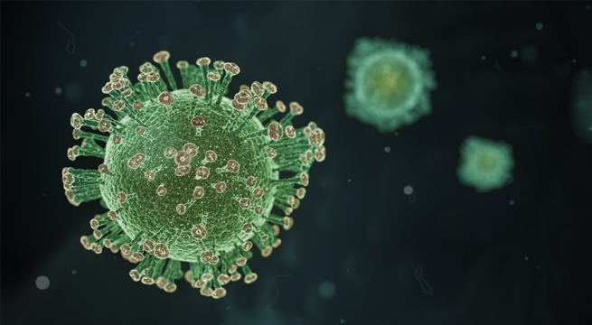 El mundo registra más de 261 mil muertes por Covid-19 en un mes