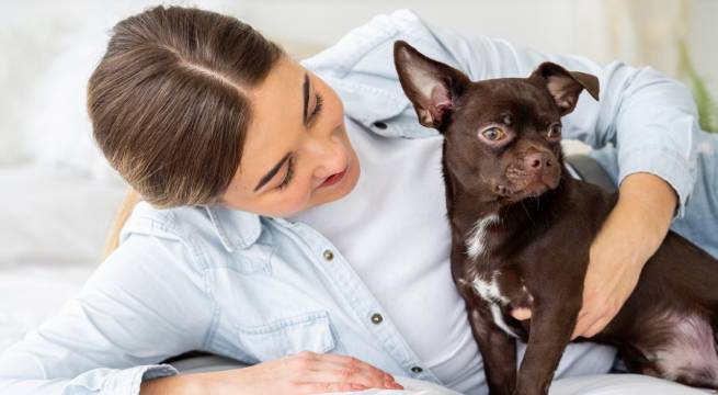 Una buena alimentación podría alargar la vida de tu perro