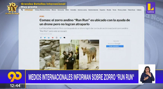 Medios internacionales informan sobre caso de zorro “Run Run”