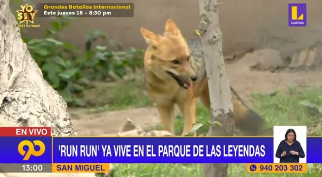 Run Run ya vive en el Parque de las Leyendas